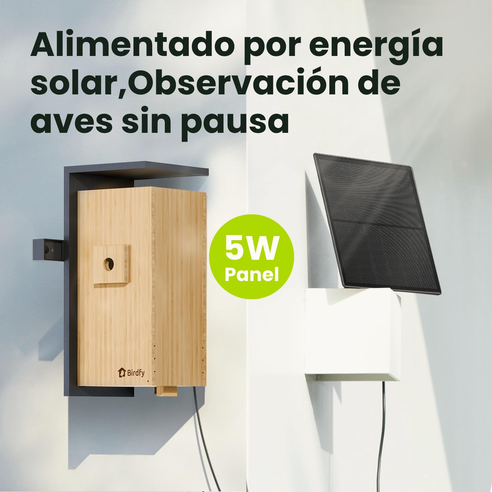 Birdfy Smart Casa para Pájaros con Doble Cámara 1080P, Nido de Bambú con Cámara y Visión Nocturna, Observación en Vivo, IA Análisis de Comportamiento, Notificaciones, Grabaciones Automáticas