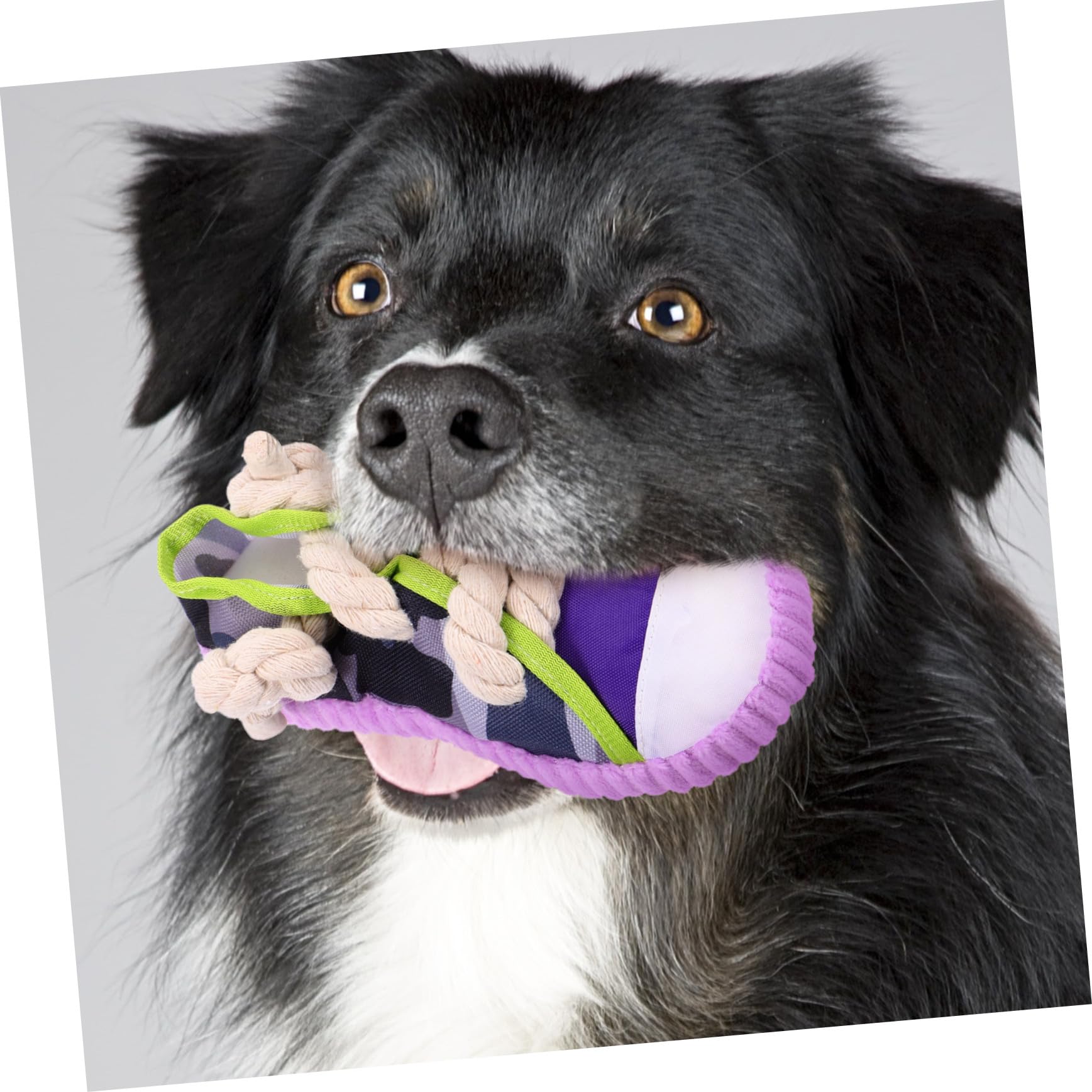 DOITOOL Juguetes para Morder Perros Interactivos Sonido, Tiras de Algodón Resistentes, Tamaño Pequeño, Juguete para Cachorros, Estimulación Dental y Diversión para Mascotas Pequeñas