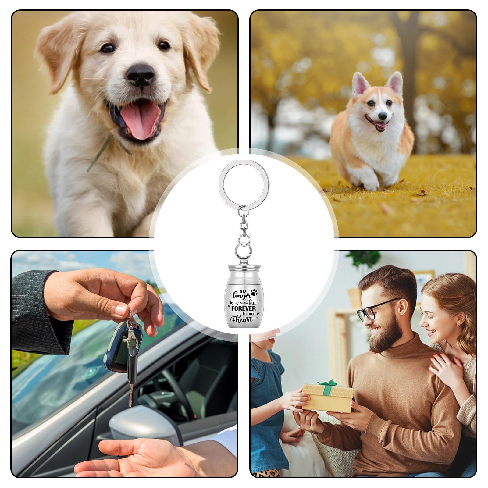 Portachiavi Urna Per Animali Domestici - Acciaio Inox, Mini Urna Per Ceneri O Peli - Foto 4