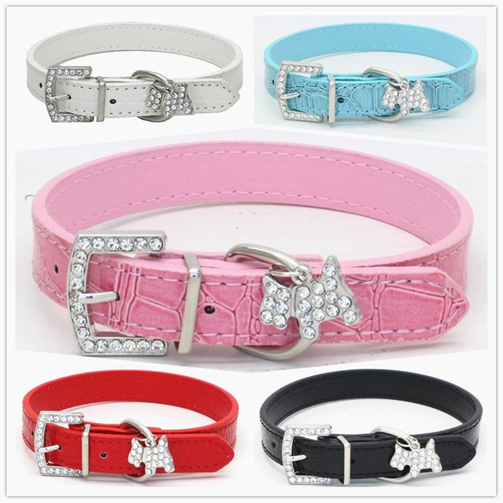 Collar De Perro Con Diamantes Brillantes Para Mujeres Y Niña | Envío Gratis