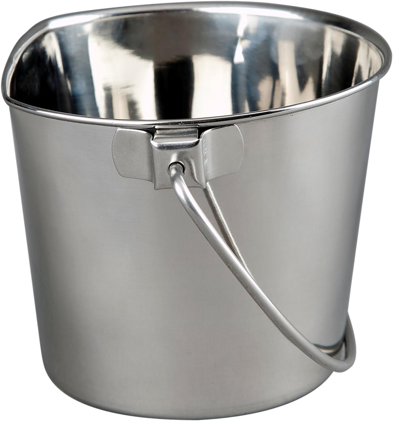 Pet Supplies : Indipets Stainless Steel Bucket for Pets (4-Quart) – w ...