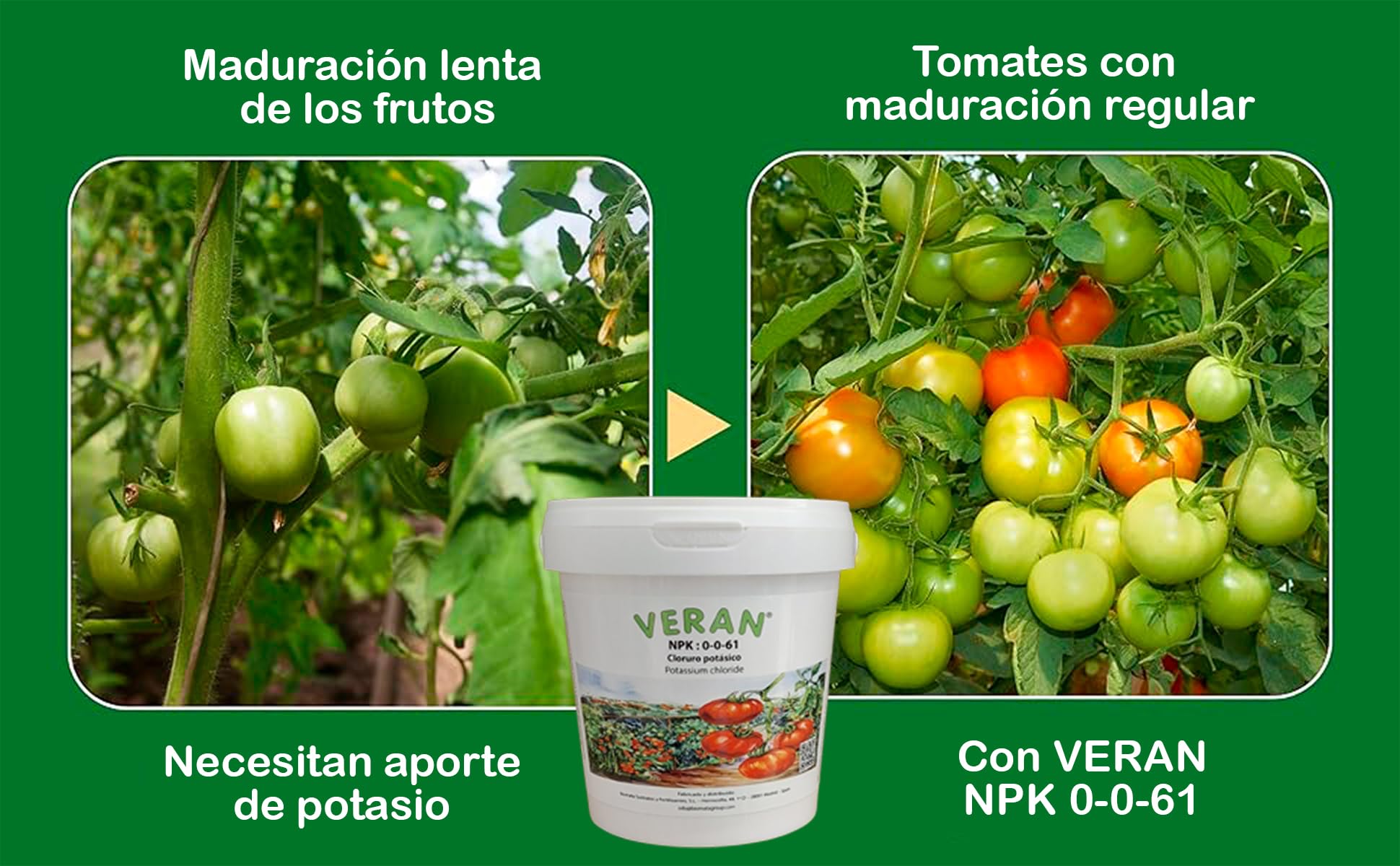 VERAN Fertilizante Cloruro Potásico NPK 0-0-61 1Kg | Abono Tomates Rico en Potasio Hidrosoluble | Fertilizante Tomates También para Hortalizas, Frutas y Cultivos Exigentes en Potasio
