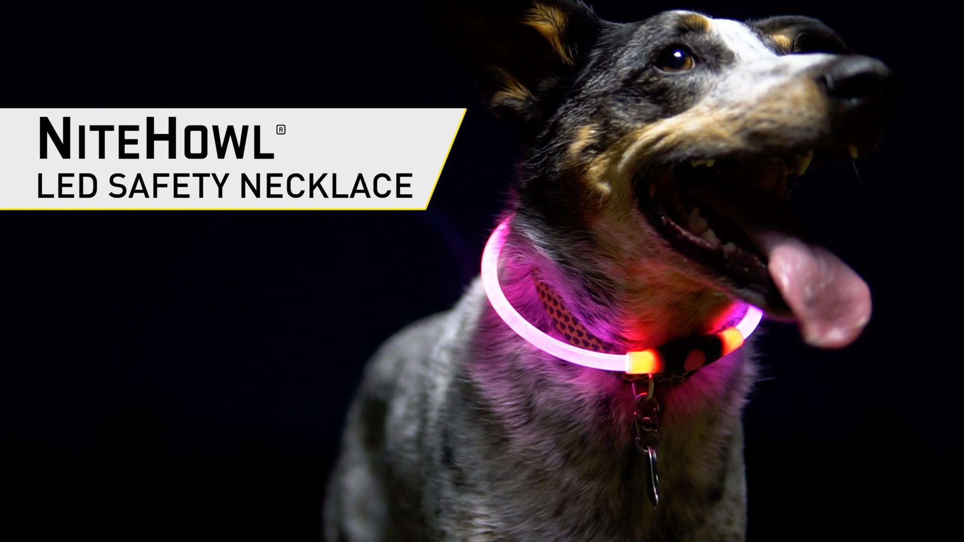 NiteHowl LED Safety Necklace, Red - Image 8