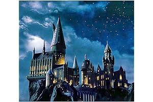 CAYUDEN Paint by Numbers for Adults, Acrylic Paint by Numbers for Adults Beginner Canvas Kit