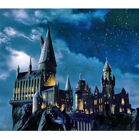 CAYUDEN Paint by Numbers for Adults, Acrylic Paint by Numbers for Adults Beginner Canvas Kit