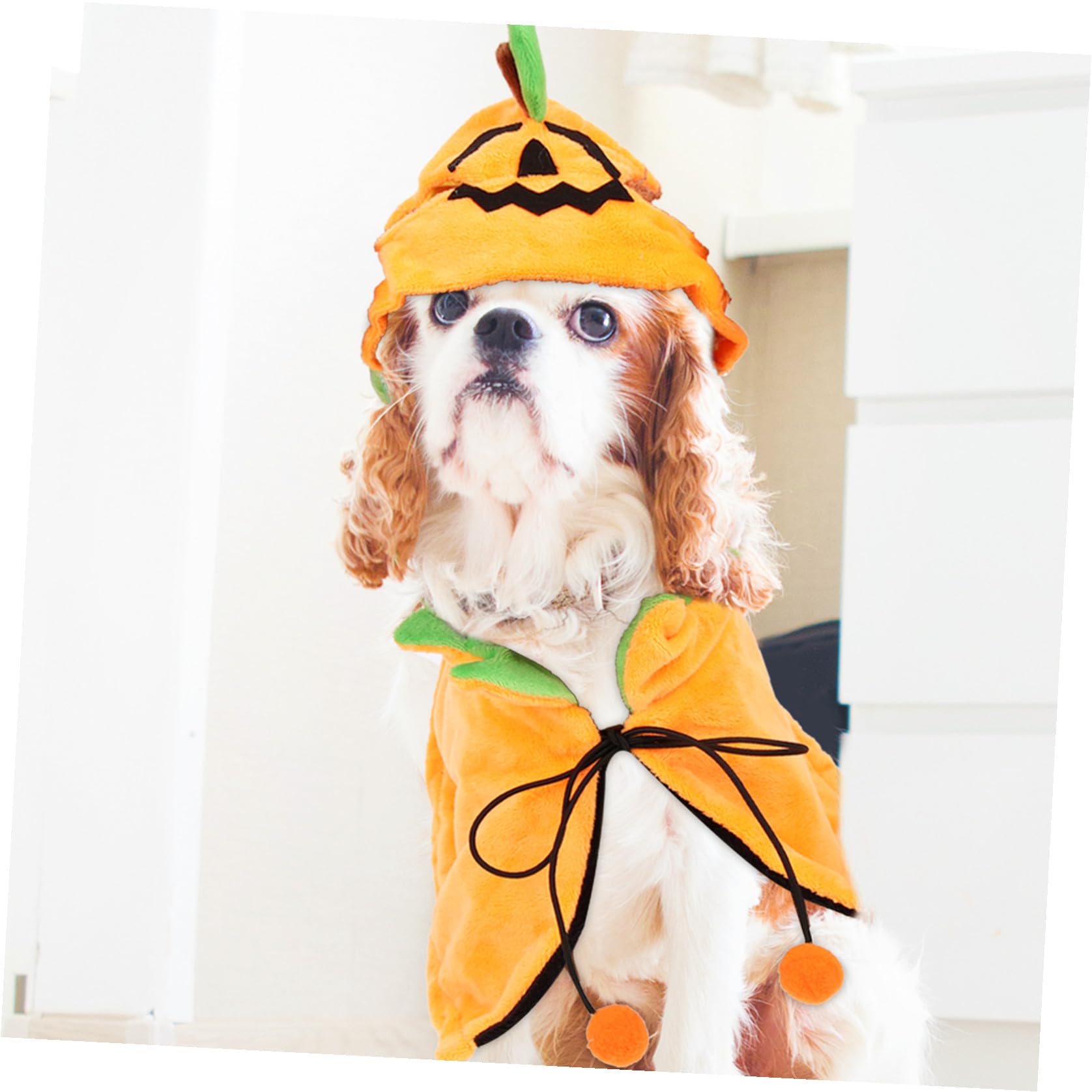 YARNOW Lot De 4 Chapeaux Et Bandanas pour Chien Et Chat pour Halloween
