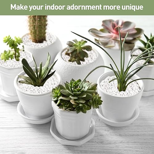 Miniatura 5 de GASPRO Grava de 10 libras para plantas, guijarros blancos de 15 pulgadas para terrario, grava decorativa natural para suculentas, cactus, jarrones,