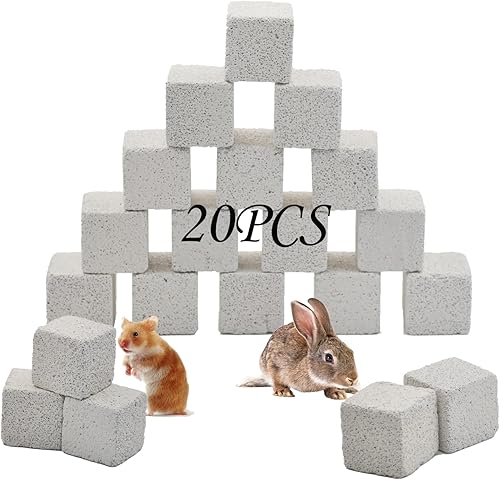 PINVNBY 20 bloques de lava de rabit, bloque de lava de chinchillas, hámster, piedra mineral, animales pequeños, cuadrados, piedras de calcio,