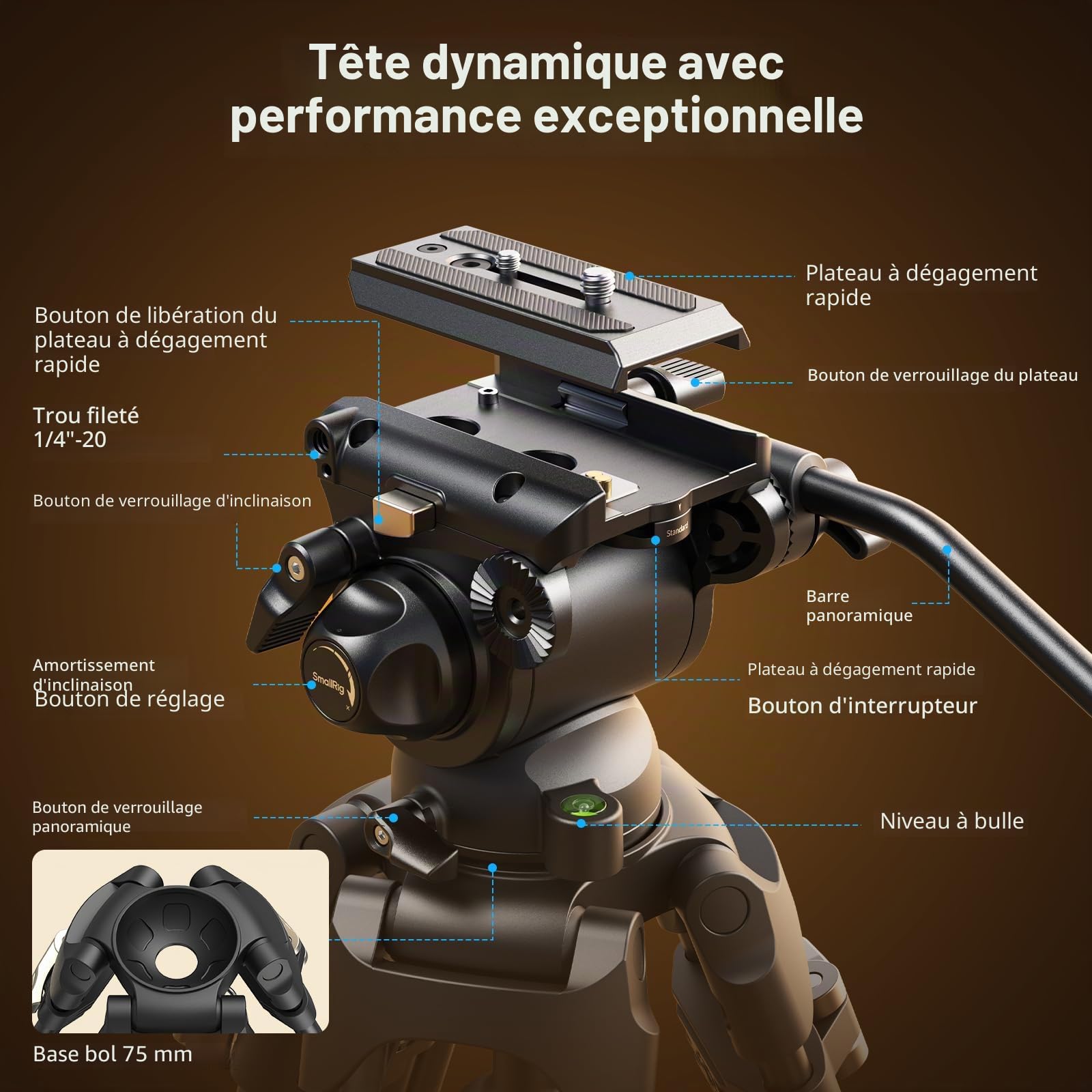 SMALLRIG Trépied Vidéo AD-01S, Robuste de 74 in avec Tête Fluide Panoramique et Inclinable, Plaque de dégagement Rapide à 2 Mode, Charge à 13,2 LB / 6 kg pour DSLR, Caméscope, appareils Photo - 4686