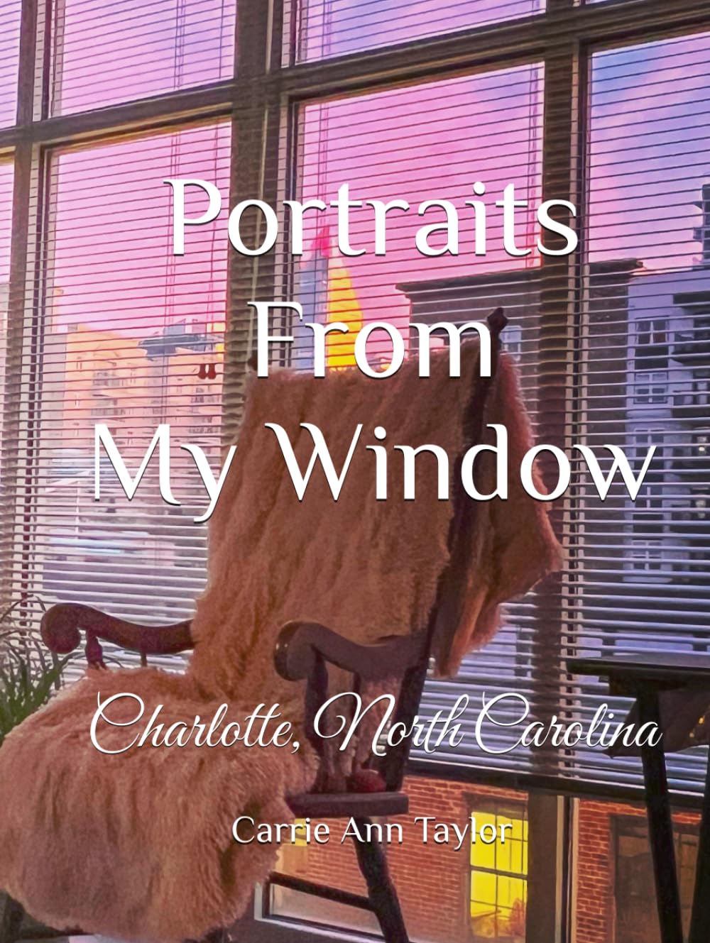 Portraits From My Window Charlotte North Carolina idée cadeau passionné photo