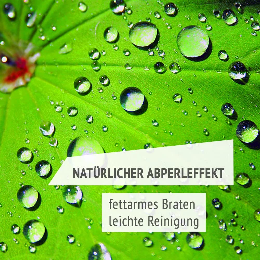 Original Gundel BRÄTERPFANNE, 33 x 21 x 6 cm, INDUKTION, Titan-Keramik-Oberfläche