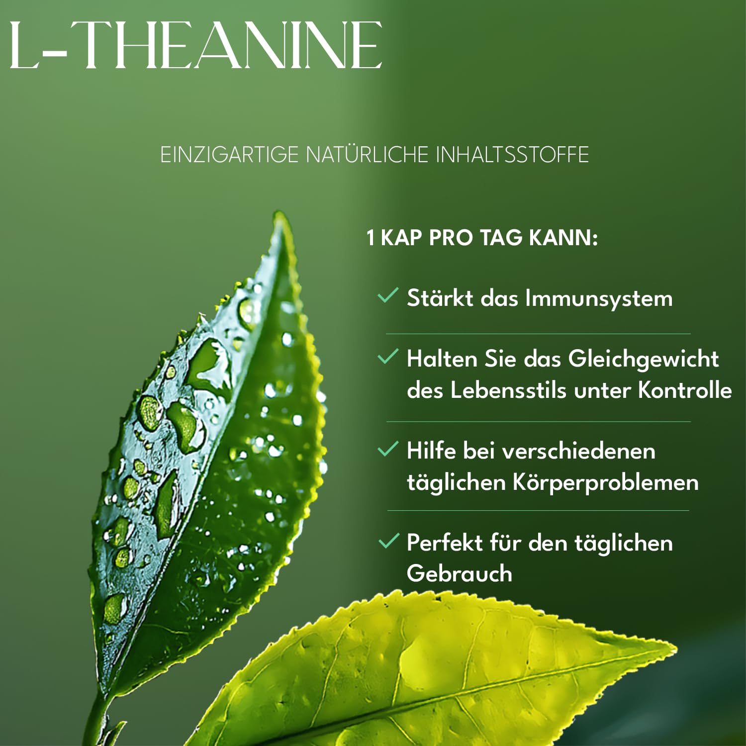 L Theanin Aminosäure 400mg, 150 vegane Kapseln, Hochdosiert, 3er-pack