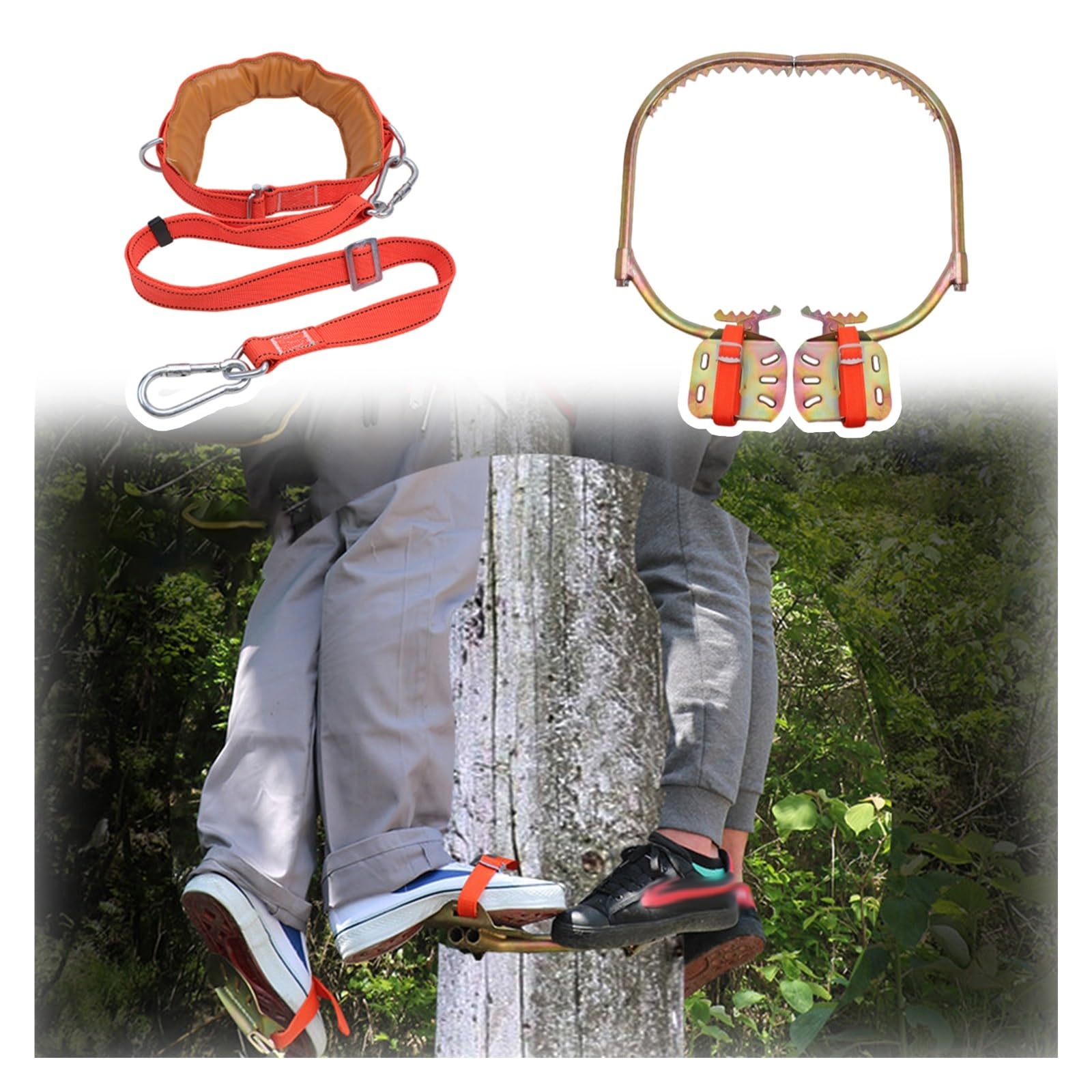 AMUFJJ Tree Climbing Gear for Tree Work, Adjustable Steel Tree Climber Spikes Shoes & Wooden Pole Foot Buckle for Picking Fruit Coconut(Type 450mm (17.7in))