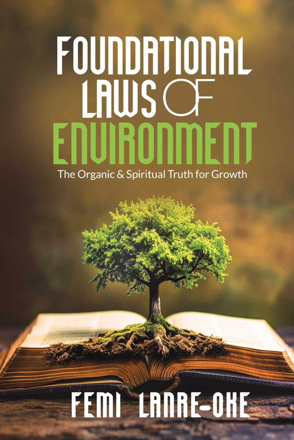 Foundational Laws of Environment: The Organic and Spiritual Truth for Growth