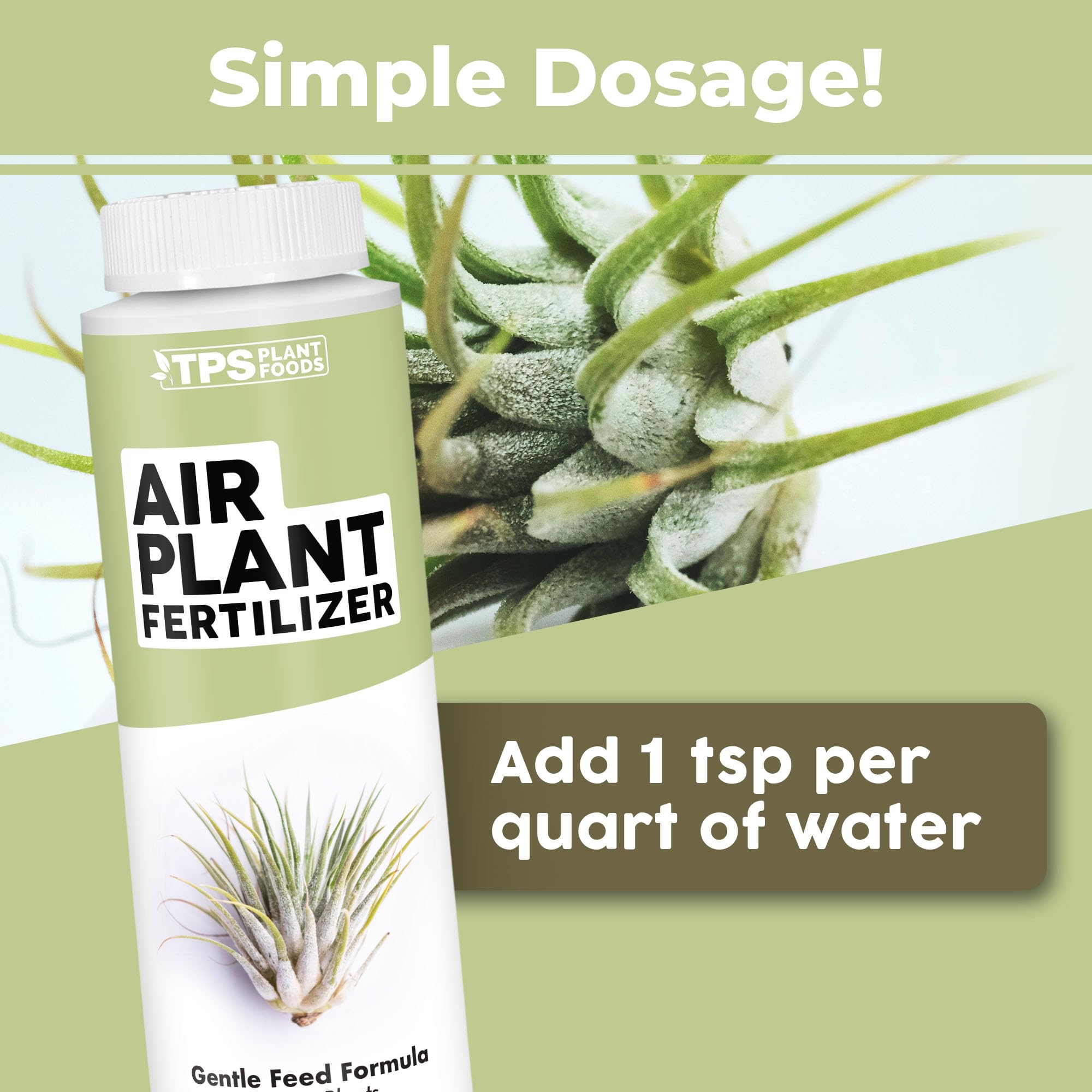 Amazon.com : Air Plant Fertilizer - Liquid Plant Food for All Tillandsia  Air Plants, Use As Foliar Spray or for Soaking, 8 oz : Patio, Lawn & Garden
