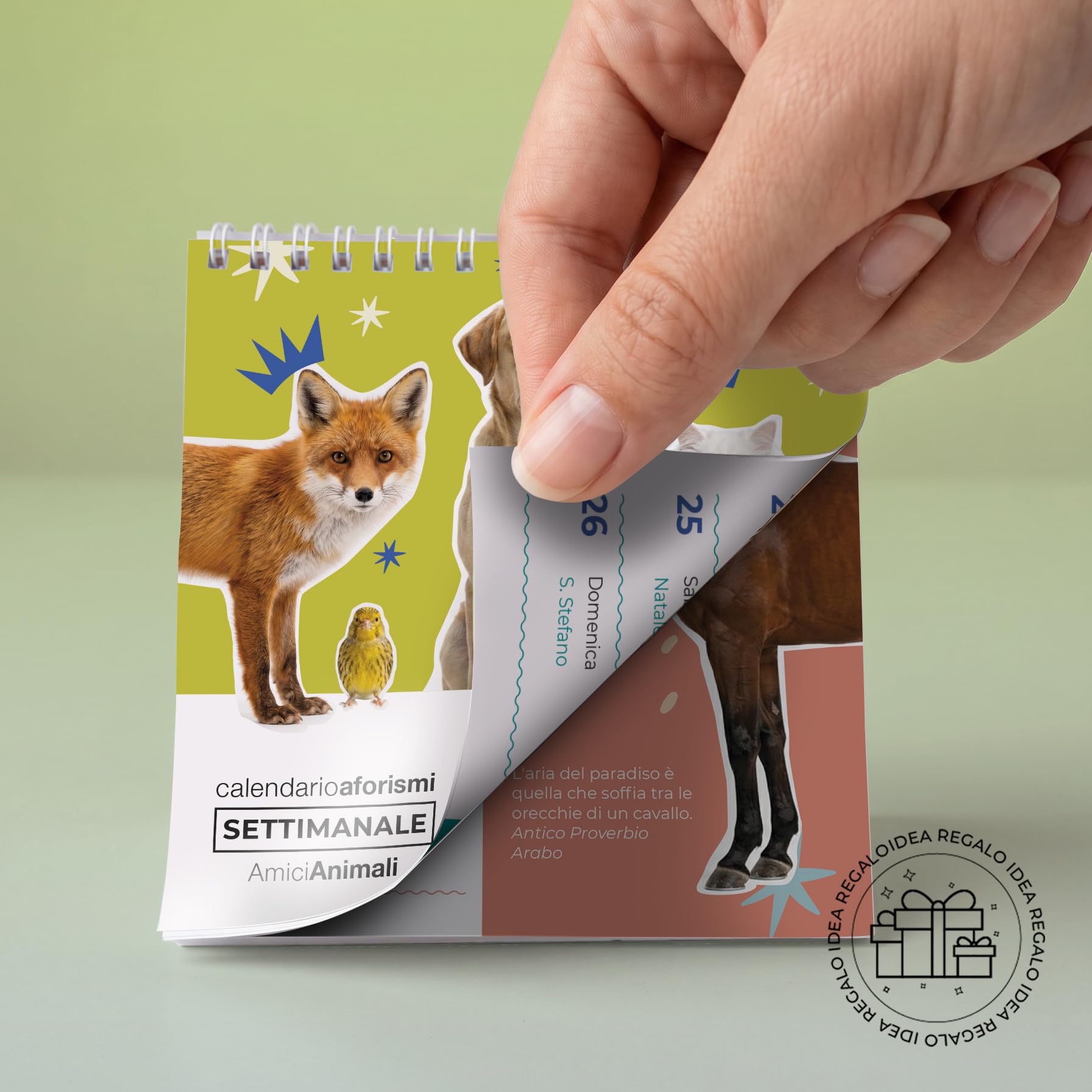Q&B Grafiche Wochenkalender 2027 mit Tiermotiv | Tischkalender mit Spirale für den Schreibtisch | Wochenplaner für Büro, Zuhause und Tierliebhaber (2027 Tiermotiv, 3 Stück)