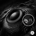 Logitech G PRO X 2 Lightspeed Wireless Gaming Headphones, Detachable Boom Microphone, 50 mm Graphen Drives, DTS:X Headphone 2.0, 7.1 Surround, Bluetooth/USB/3.5 mm Aux, PC, PS5, PS4, Switch, Black