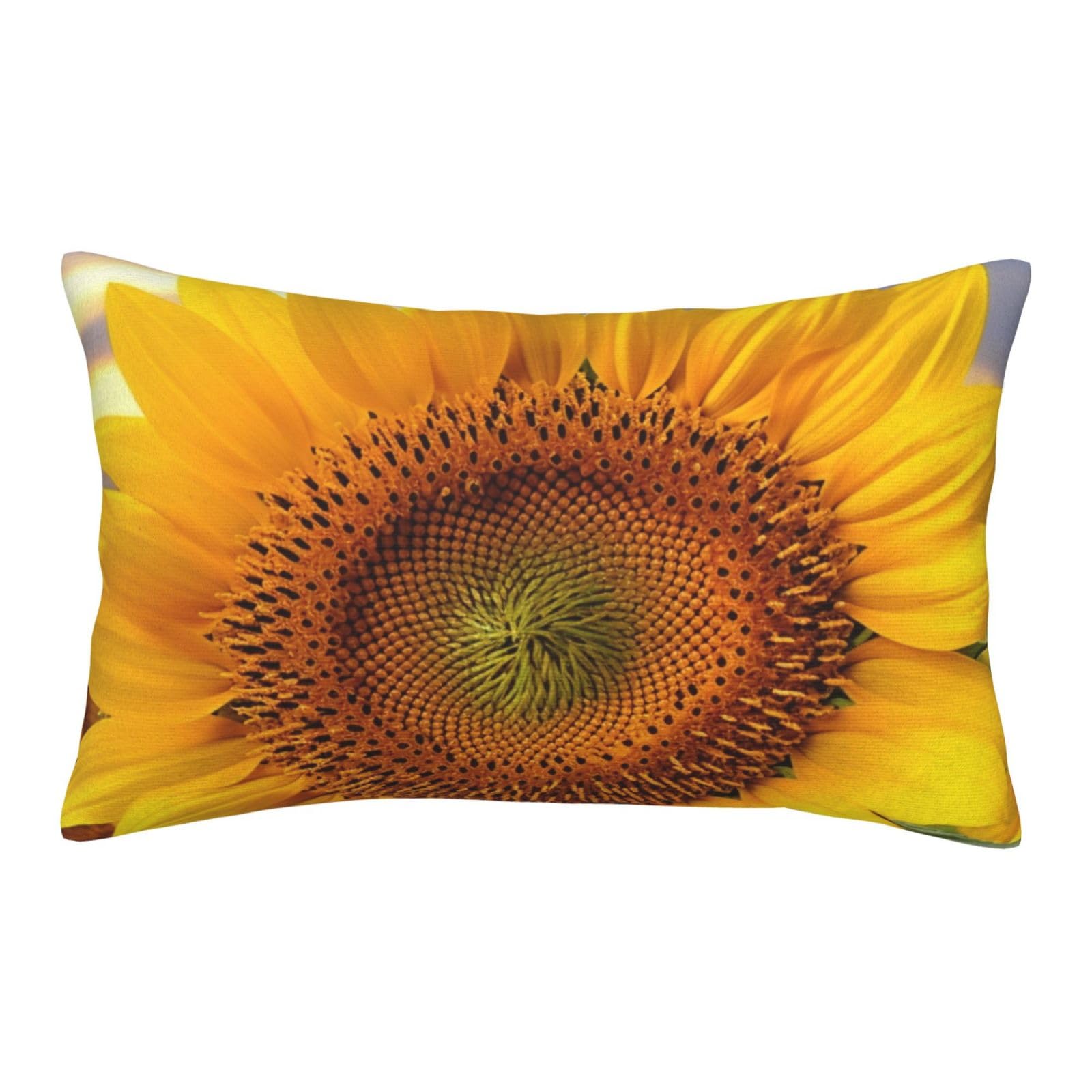 Velvet Pillowcases 16"x24" Ultra Soft Breathable Pillow Cases, Luxury Fuzzy Throw Pillow Covers with Zipper, Golden Yellow Sunflower Pillow Shams All Seasons Decorative Cushion Cases for Couch