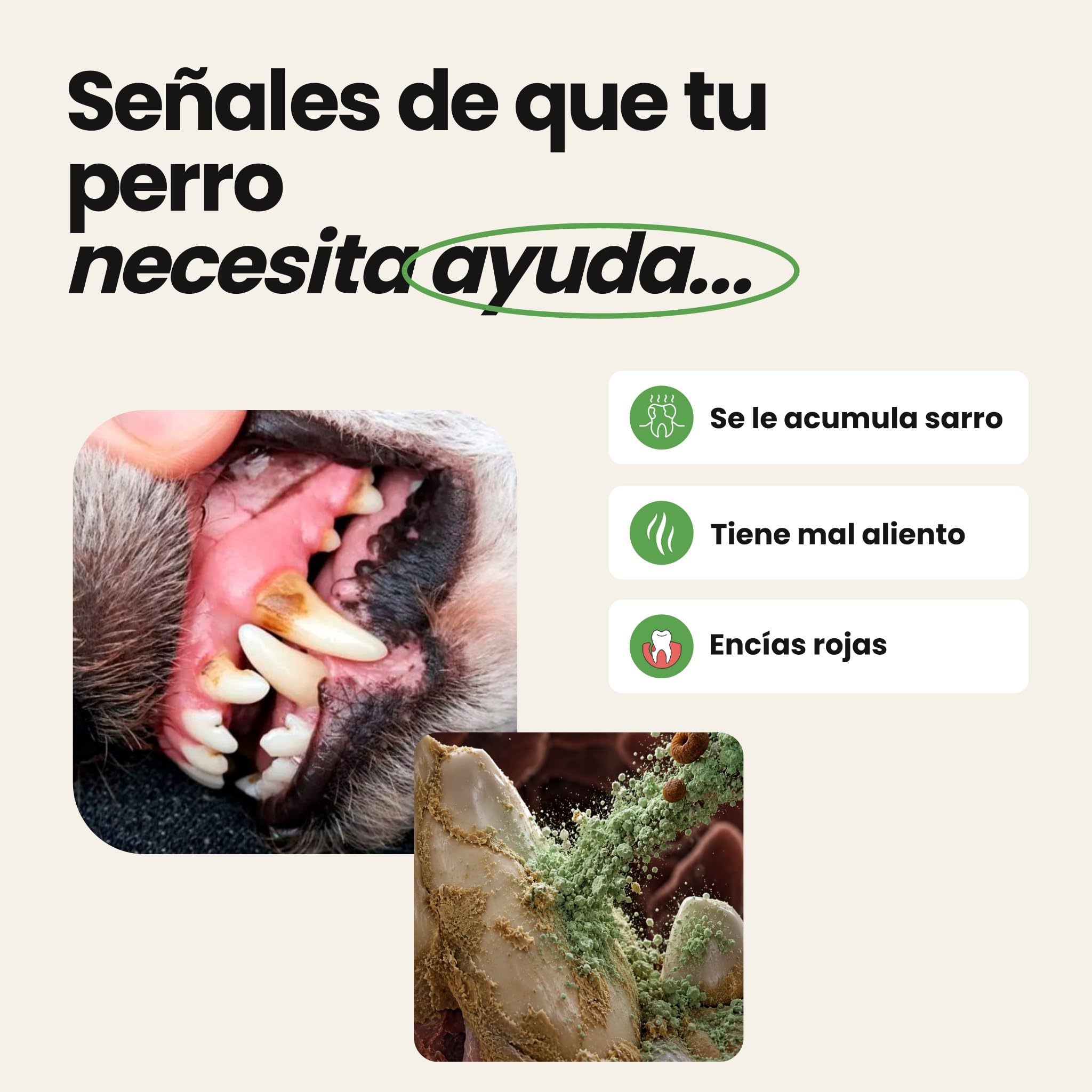 DISANE Higiene Bucodental Perros Maxi 180 Gramos | Suplemento en Polvo para Cuidado de Dientes y Encías para Perros| Combate el Sarro y la Placa de Perros | Eficaz contra el Mal Aliento de Perros