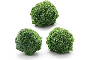 Fluval Moss Ball | Aquarium Plants | Freshwater Moss Ball Decorative
