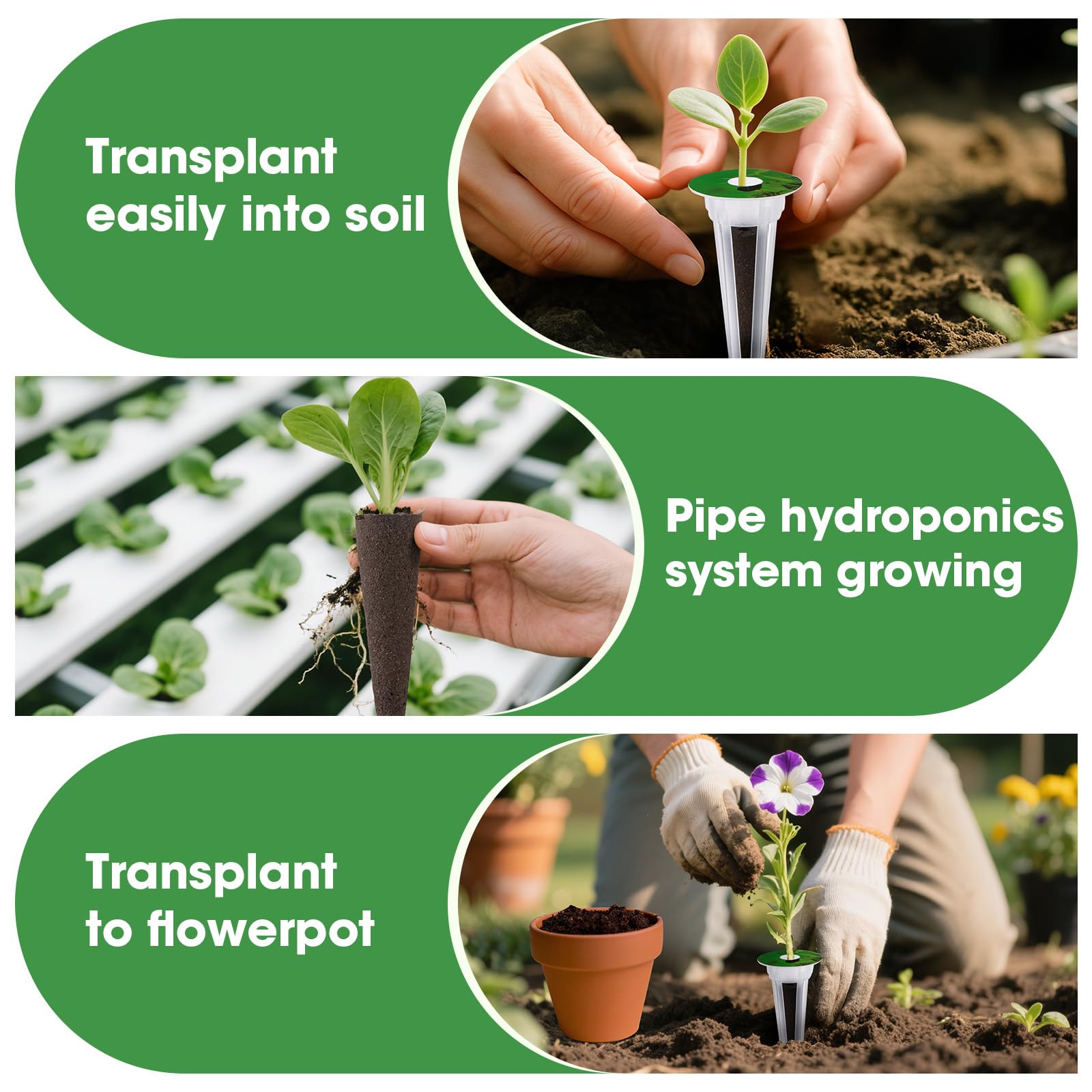 Aero-Gardening Samenkapseln mit 50 Wachstumsschwämmen, 50 Etiketten A&B Pflanzennahrung, 12 Wachstumskörbe, 12 Wachstumskuppeln und 1 Pinzette, kompatibel mit Aerogarden Grow Anything
