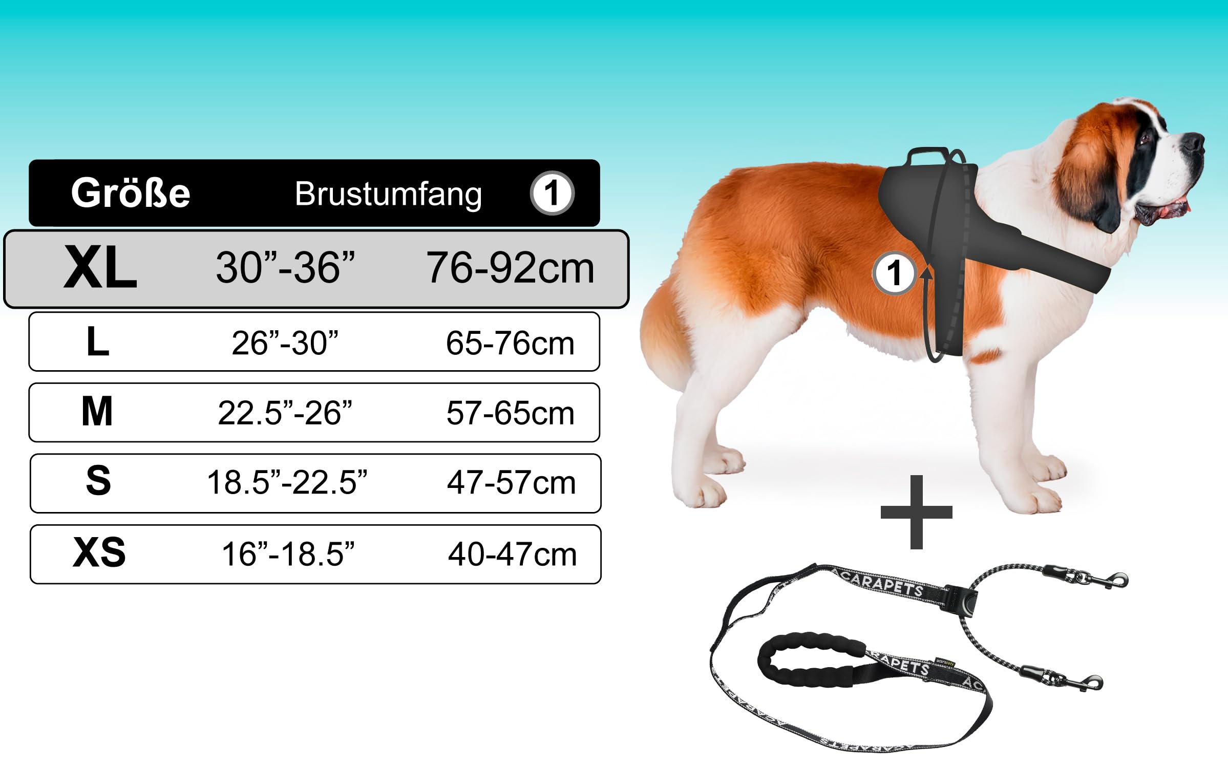 Hundegeschirr & Leine | 3 Ringe Gepolstert & Atmungsaktiv | Elastische Bifida-Linie Reflektierend Verstellbar zum Wandern Laufen (Schwarz XL mit Leine)
