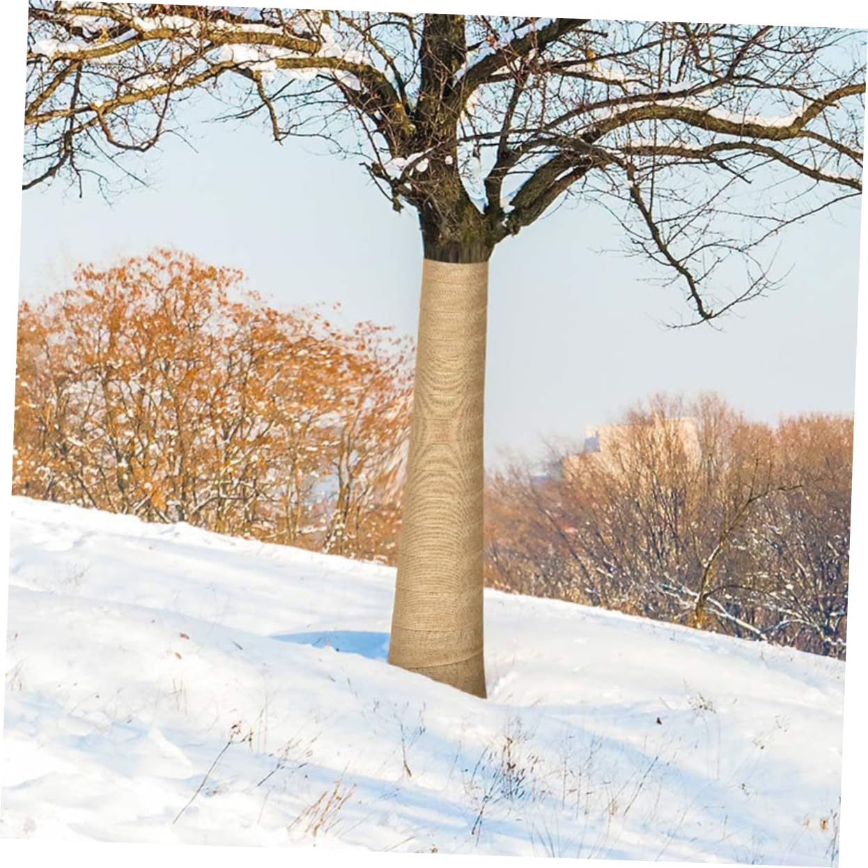 Kisangel 5rotoli Protezione Invernale per Alberi Lino Naturale Avvolgente per Giardinaggio e Trasplantare Piante