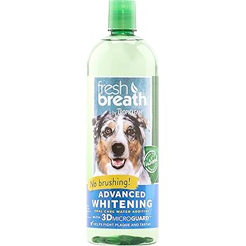 vibrant life dog food reviews