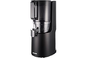 Hurom H200 Easy Clean Slow Juicer