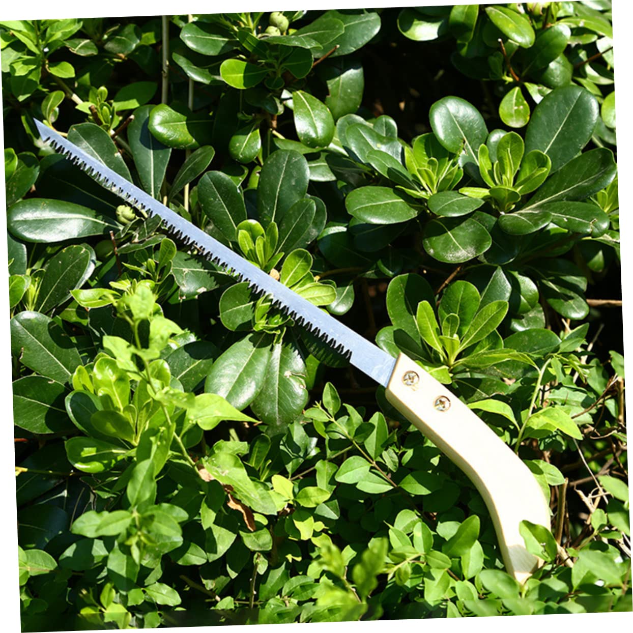 3 Ensembles Scie À Élaguer Japonaise Outils De Jardinage Robustes Pour Camping Bricolage Scie À Main Éfficace Pour Couper Branches 2 Pièces * 3