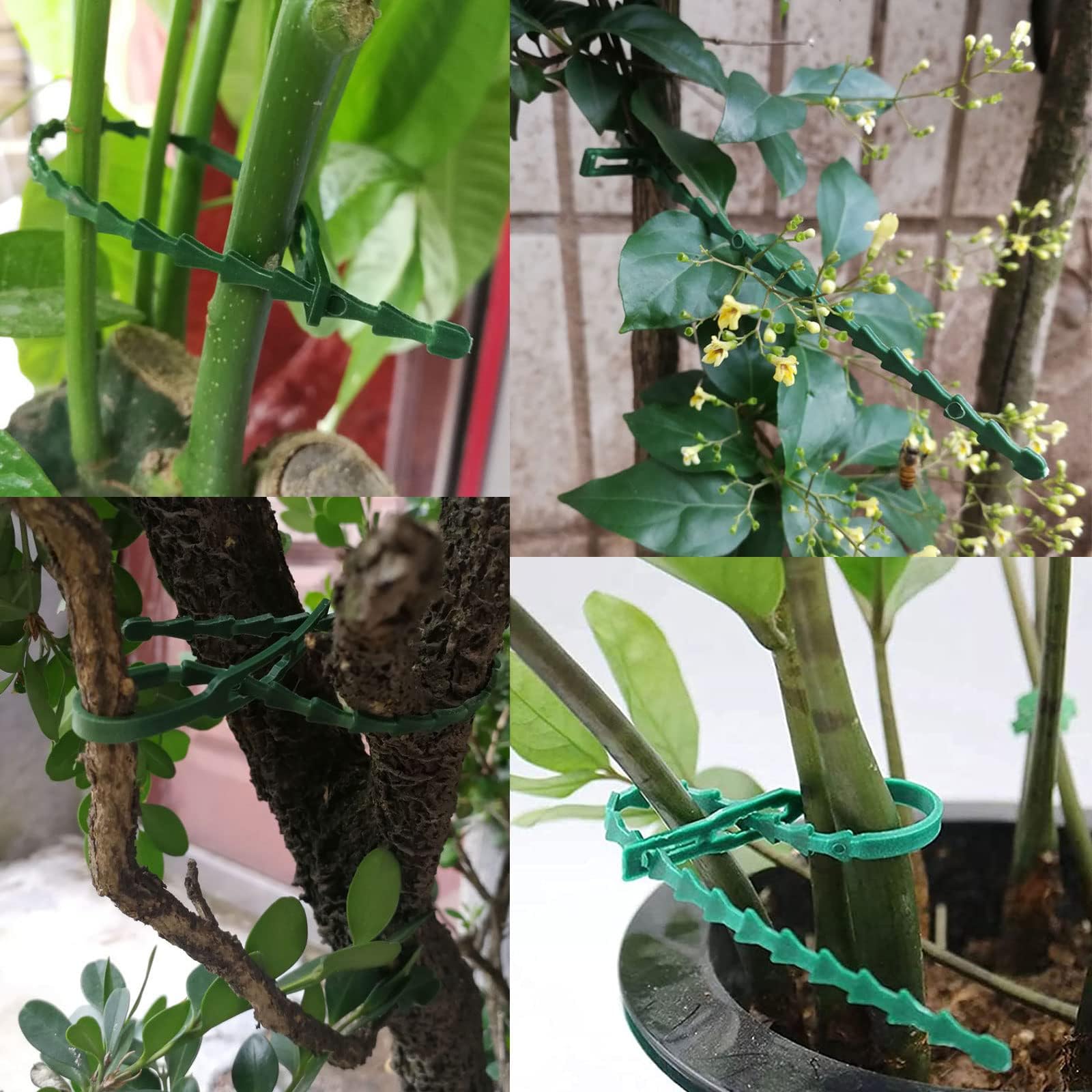 90 Clip E Fascette Per Piante - Supporto Per Pomodori, Vegetali Rampicanti - Foto 7