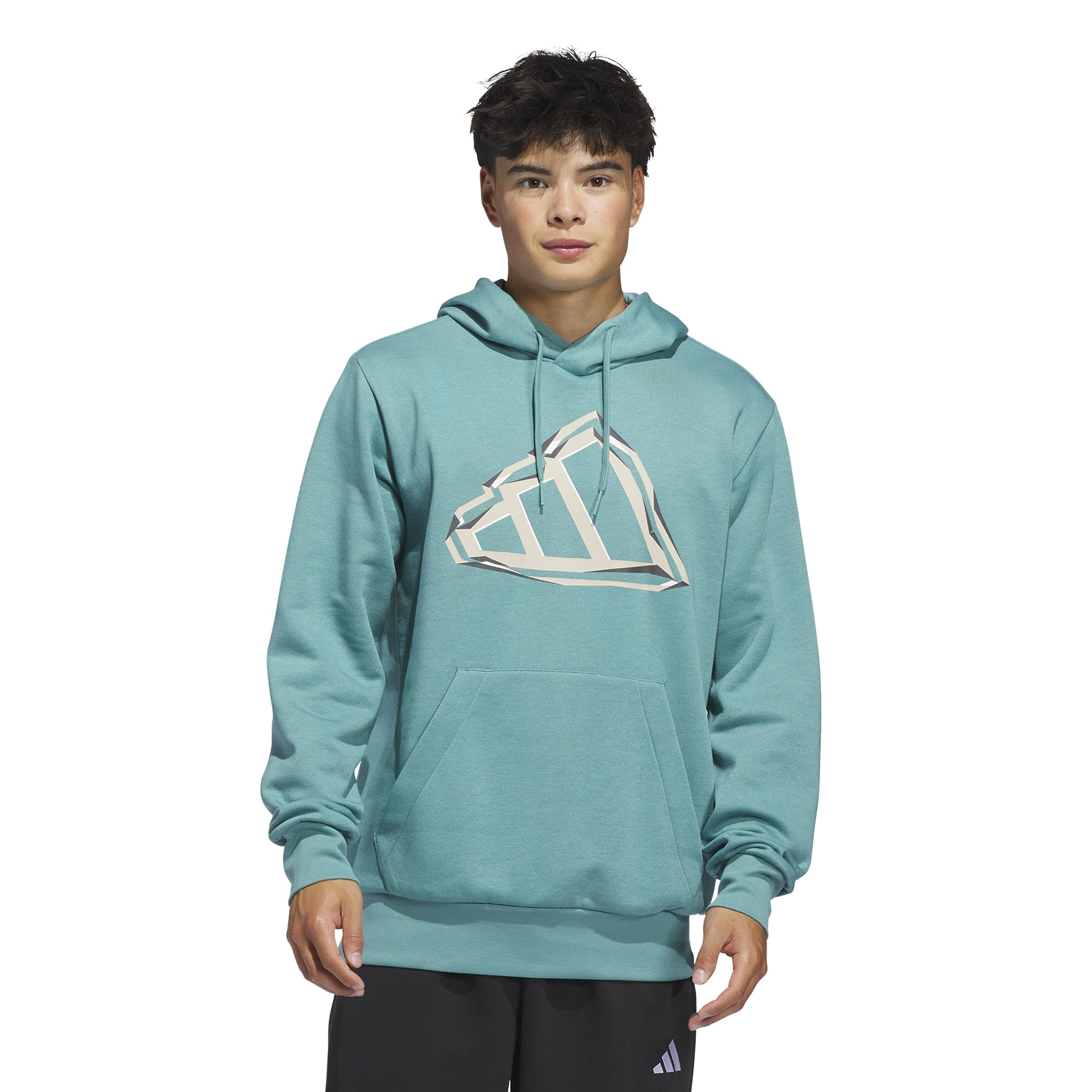adidas Men's Big Logo Graphic Hoodie