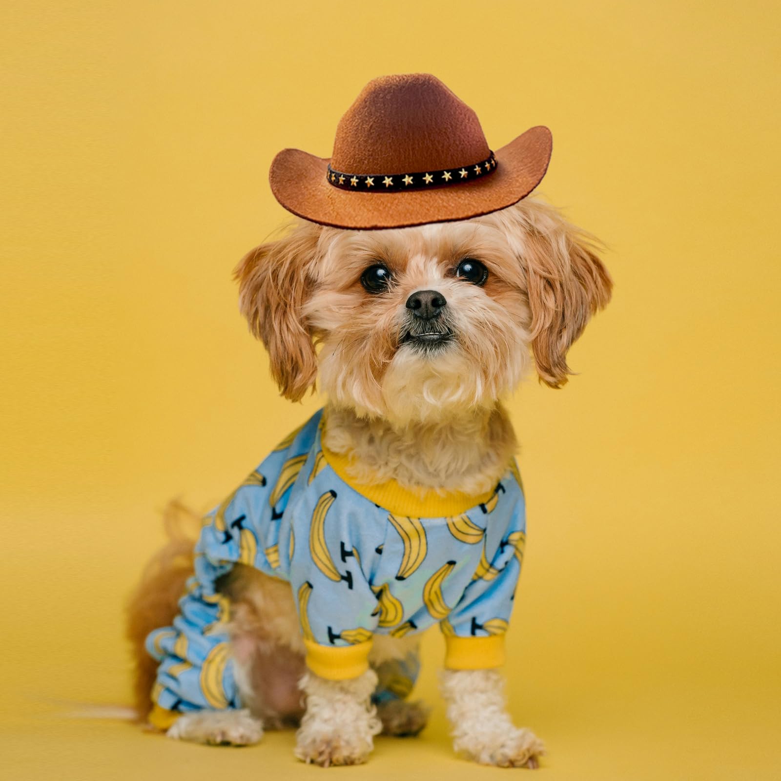 AWOCAN Dog Cowboy Hat Cat Cowboy Hat Pet Cowboy Costume Mini Cowboy Hat for Dogs Cat Holiday Halloween Pet Party Decoration (Brown - Image 4