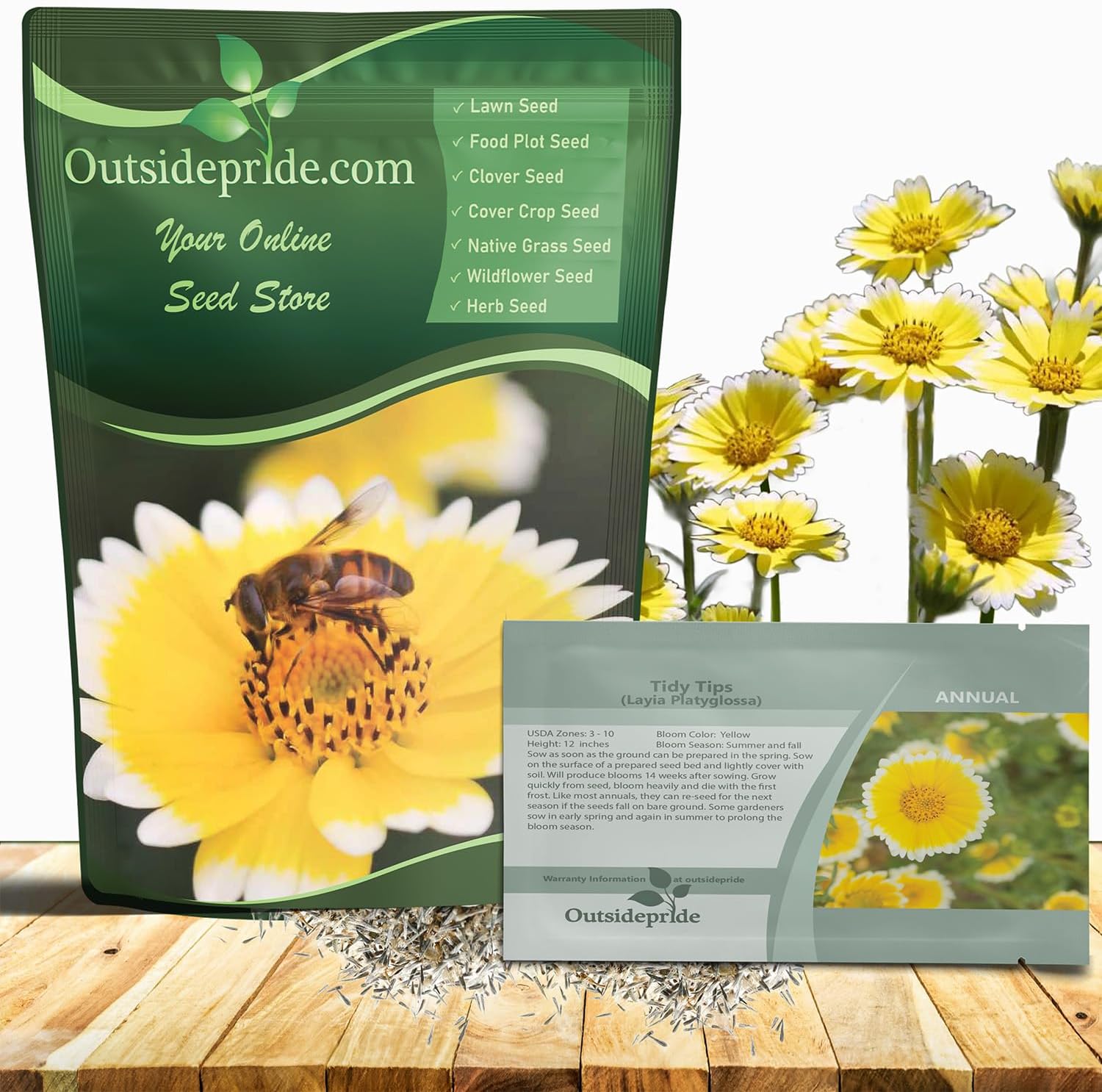 Outsidepride Tidy Tips Seeds - 1/2 lb Annual Dazzling Golden-Yellow & White Blooms, Drought Tolerant, Self-Seeding, Ideal for Rock Gardens, Flower Boxes, Borders, Xeriscape & Low-Water Landscapes