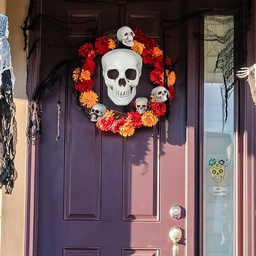 Miniatura 6 de Leyndo 23 piezas de cabeza de esqueleto de Halloween, 5 tamaños, mini accesorios de calavera de plástico de aspecto realista, esqueleto humano con