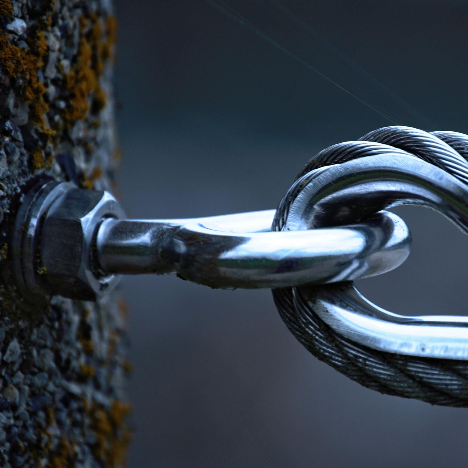 Dailydanny Confezione Da 2 Cerniere Femminili Con Bulloni E Dadi - Foto 2