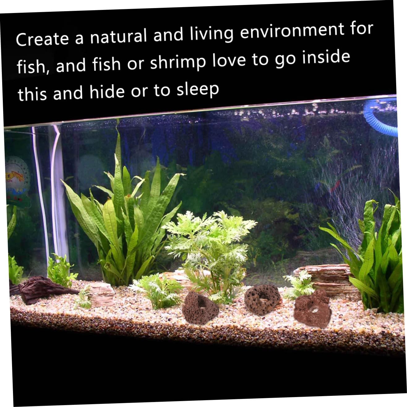 Didiseaon 10pièces Abri pour Poissons Roche Naturelle Décoration Aquarium Forme De Grotte Habitat pour Poissons Eau Douce Et Eau De Mer