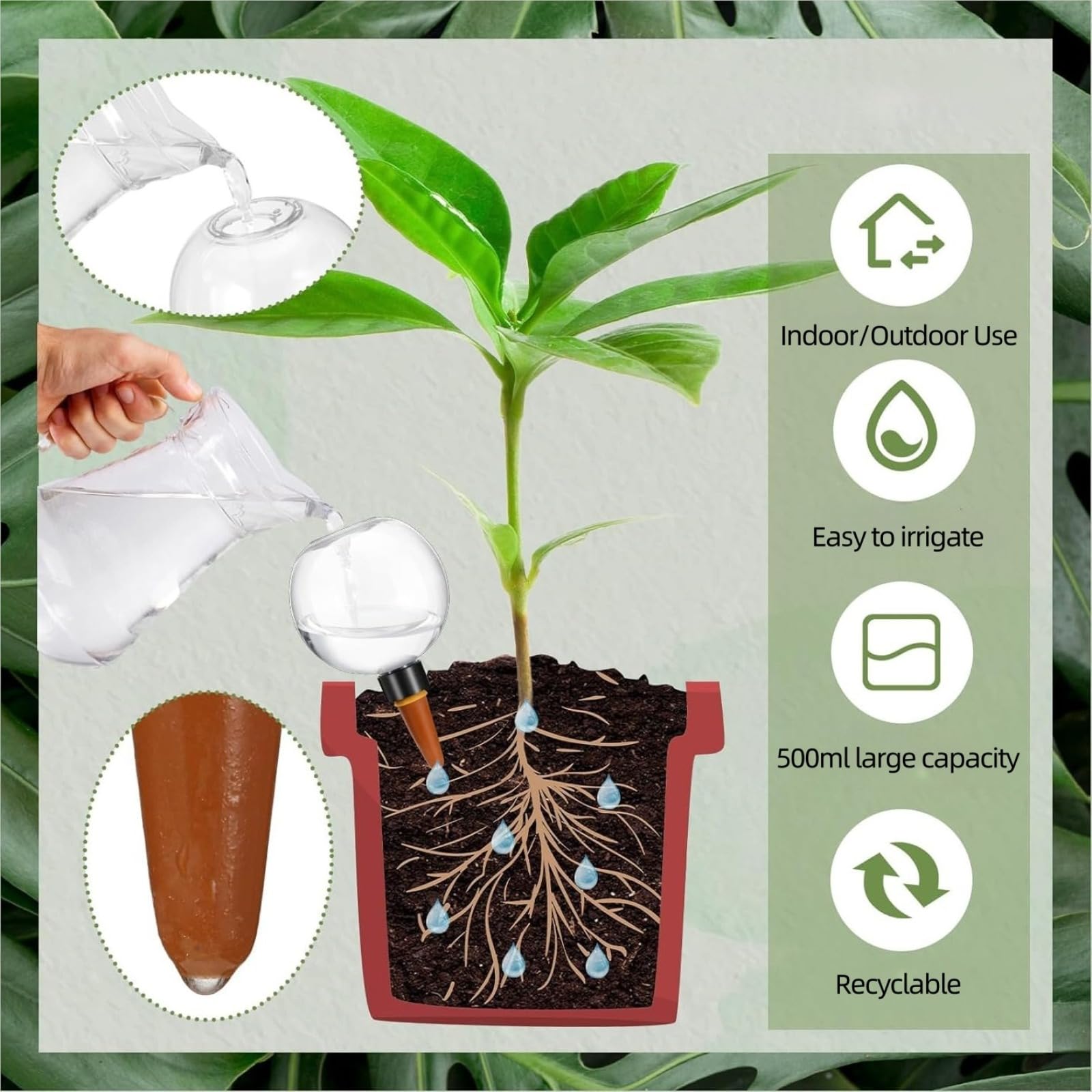Generisch Bewässerungskugeln für Pflanzen 500ml (8 Stück), Wasserkugeln Für Pflanzen, Transparente Automatische Gießkugeln für Zimmerpflanzen, Balkon & Garten | Ideal für Urlaub, Büro & Alltag