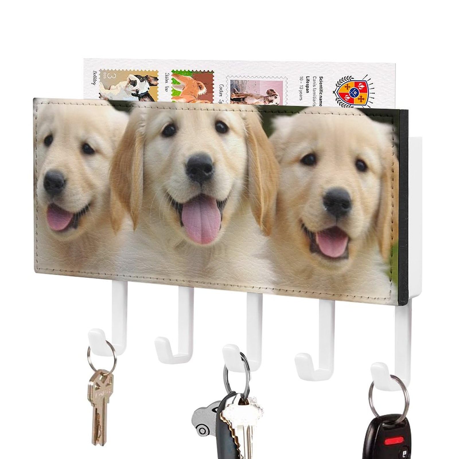 BVKWNTSA Self Adhesive PU Golden Retriever Puppies Printed Key Hanger with 5 Hooks Decorative Key Rack for Door Entryway Hallway Kitchen Office