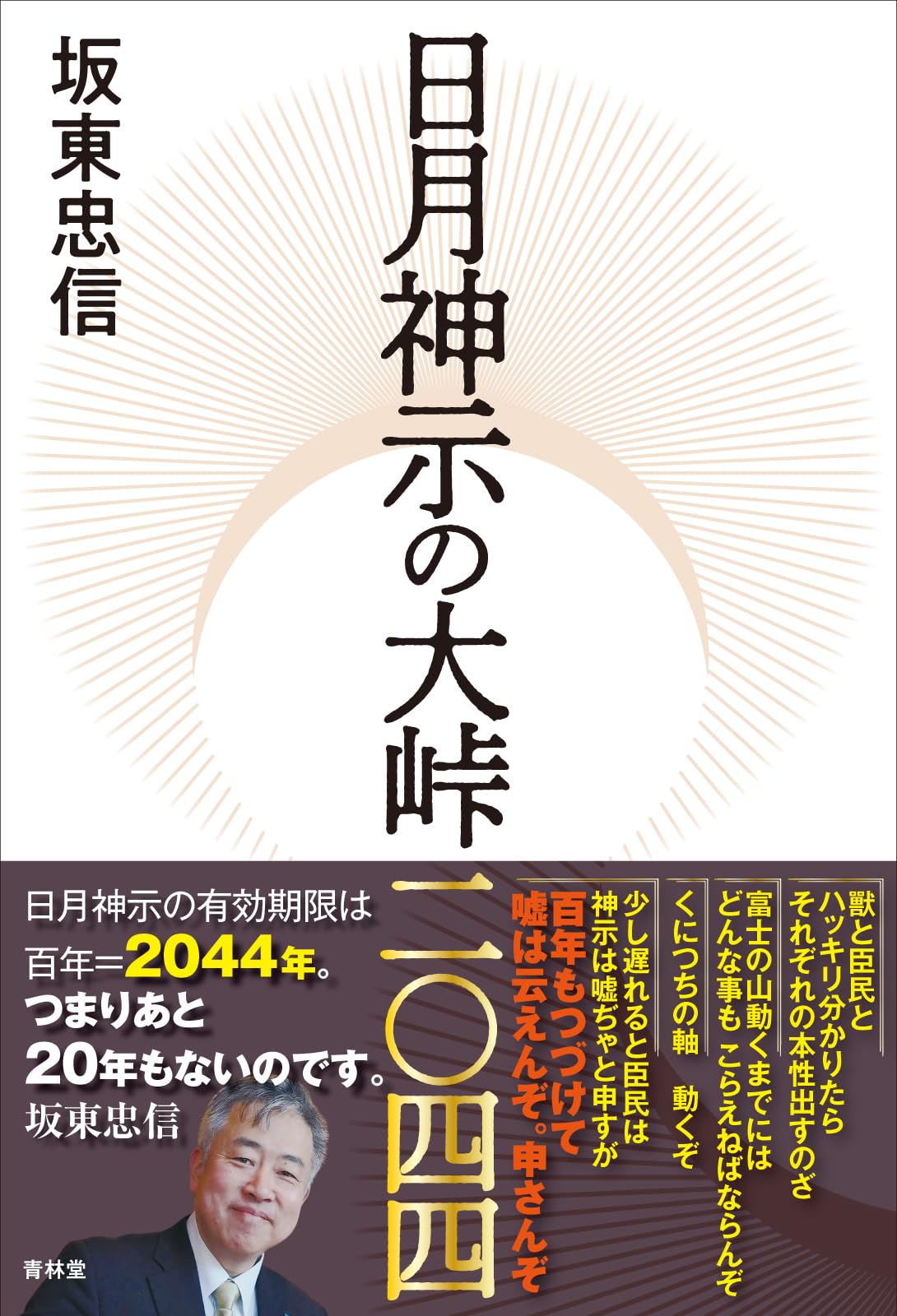 en 大神 日陰 Cool Time 日除け シェードオーニング （180×240cm）【3年安心