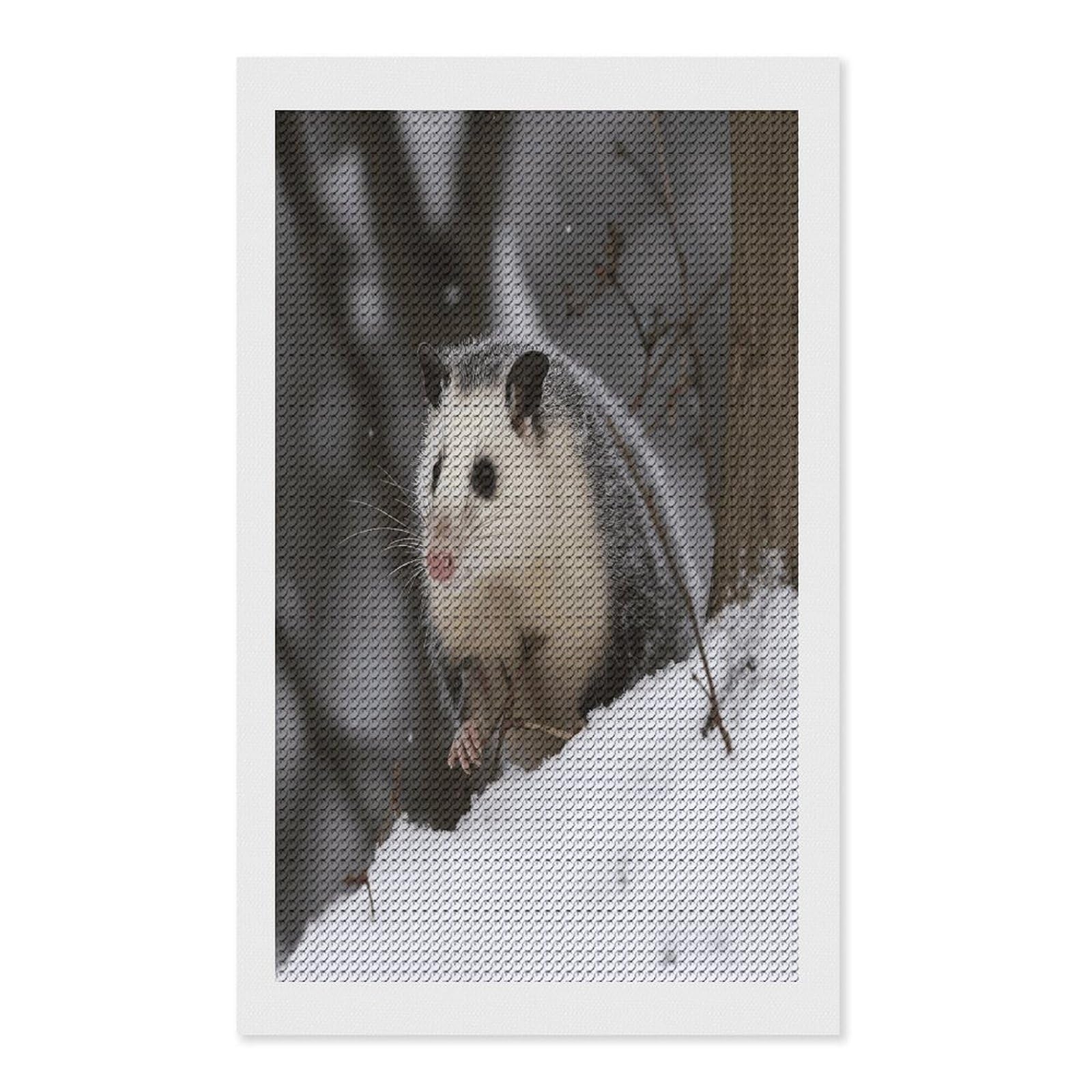 FekiLoot Opossum in Snow Diamond Art Kits for Adults Diamond Painting Kits for Beginners DIY Diamond Art Kits Round Full Drill Diamond Dot Gem Painting for Home Wall Decor Gift 12"x20"