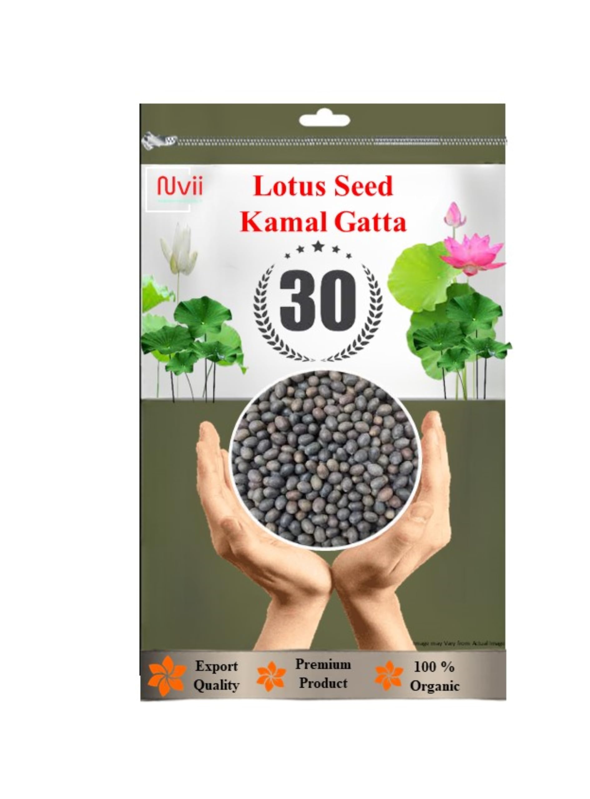 Best Kamal Gatta Seed, Water Lotus Flower Plant seeds (40 Grams) for Pooja, Laxmi Havan, Home Gardening, Live Water plant for Pond, Rosary of Kamalgatta, Makhana Seed (Pack of 30 seed) (B0DBVXBMQP) Amazon Price History, Amazon Price Tracker