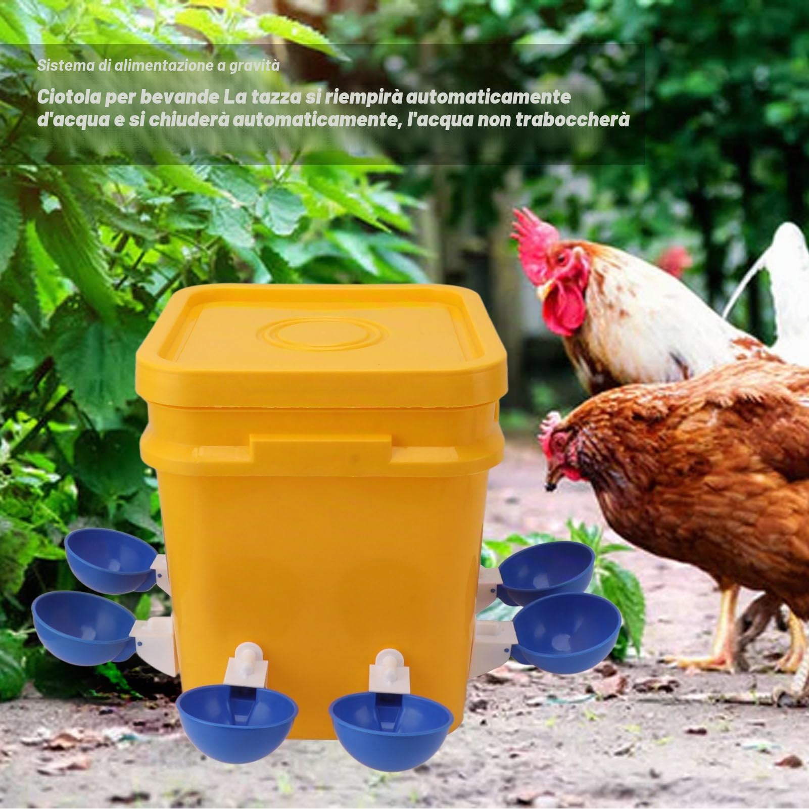 Abbeveratoio Automatico per Pollame, Distributore di Acqua per Polli con Tazza, Sistema di Alimentazione a Gravità 12L, Plastica Durevole, per Galline Pulcini Anatre Oche Quaglie Piccioni