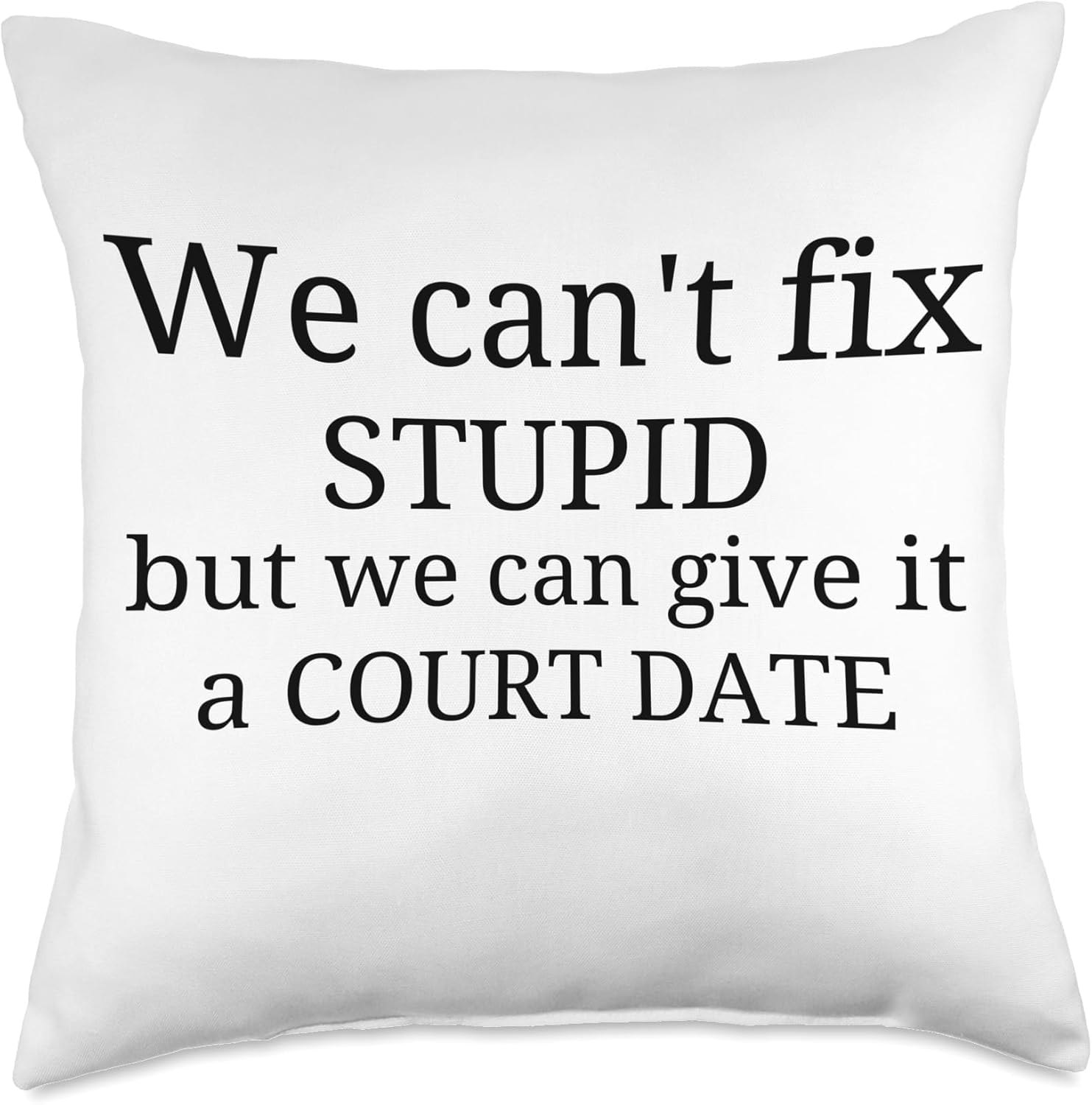 we can't fix stupid but we can give it a court date lawyer Throw Pillow