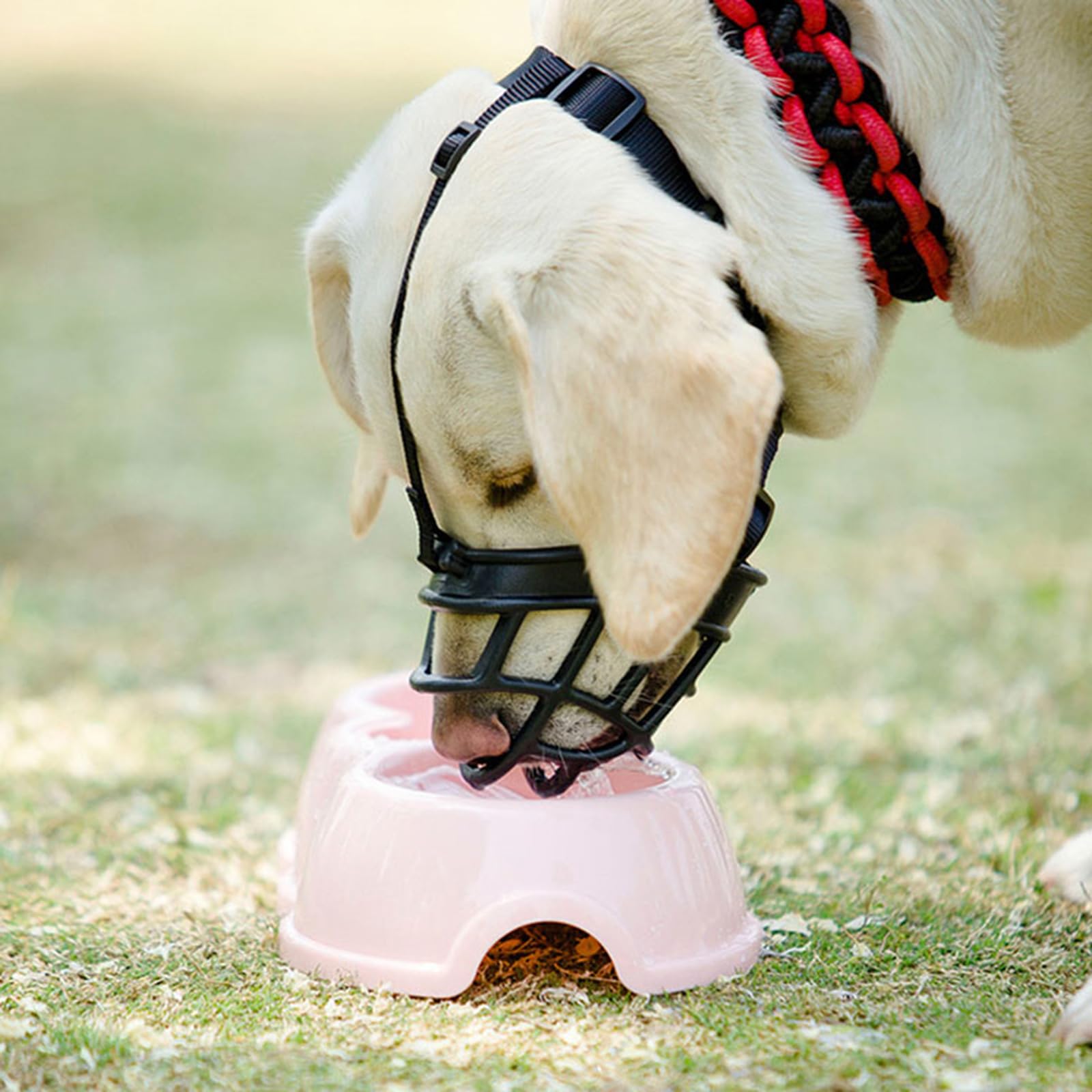 Bozal para Perros, Bozal antiladridos for Perros, Protector de bozal for, Transpirable, Ajustable, diseño humanizado, Permite jadear y Beber(Red,XS)