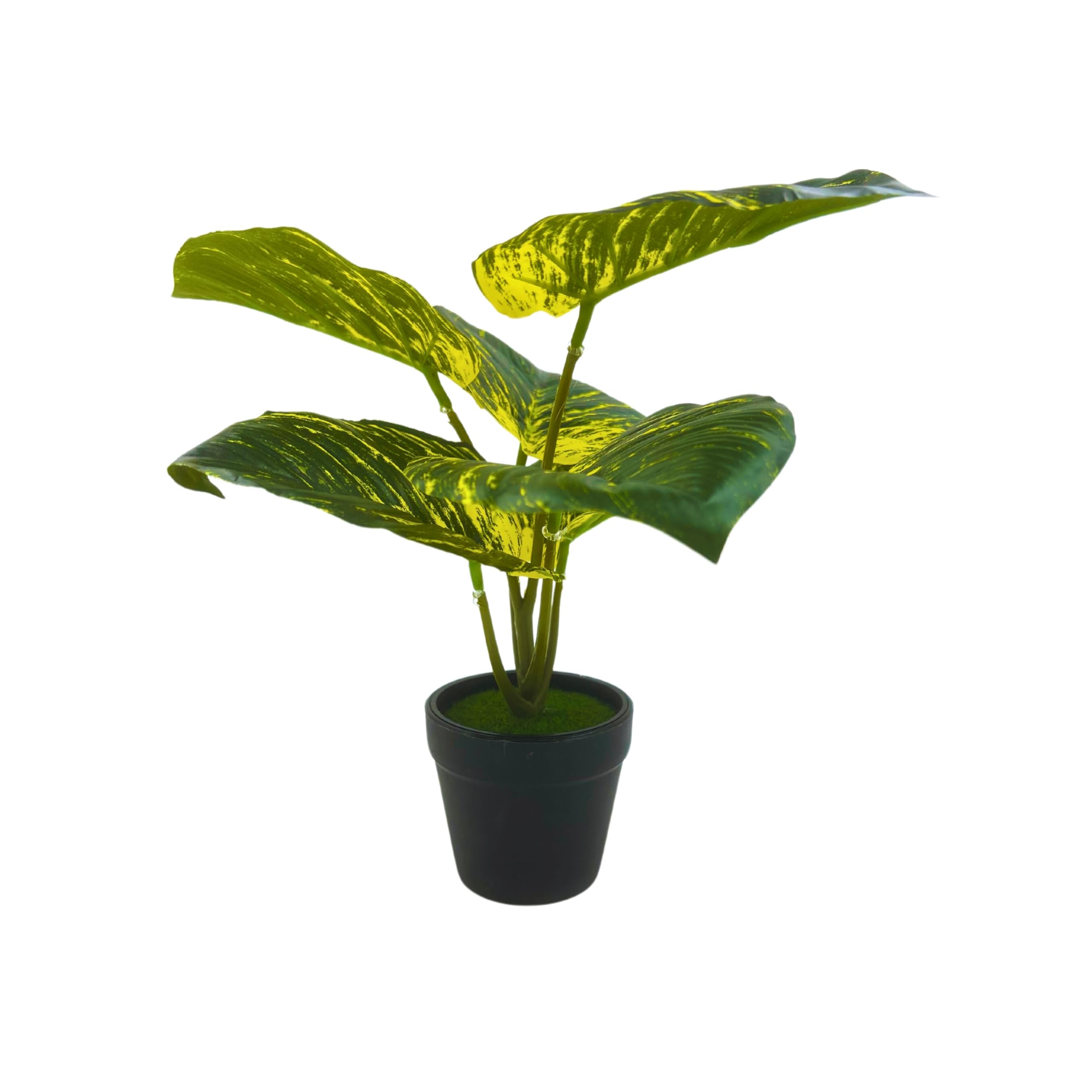 Tdas Artificial Plants for Home Decor Small Size with Pot Item Living Room Plastic Palm Tree Fake Plant Leaves Balcony Office Bamboo Decoration Decorative Decors – 25 cm (Design7) (B0D5W6NZXF) Amazon Price History, Amazon Price Tracker