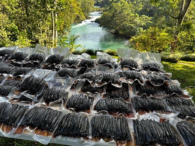 10 Vainas de Vainilla Guatemaltecas Grado A para Extracto Casero miniatura 6