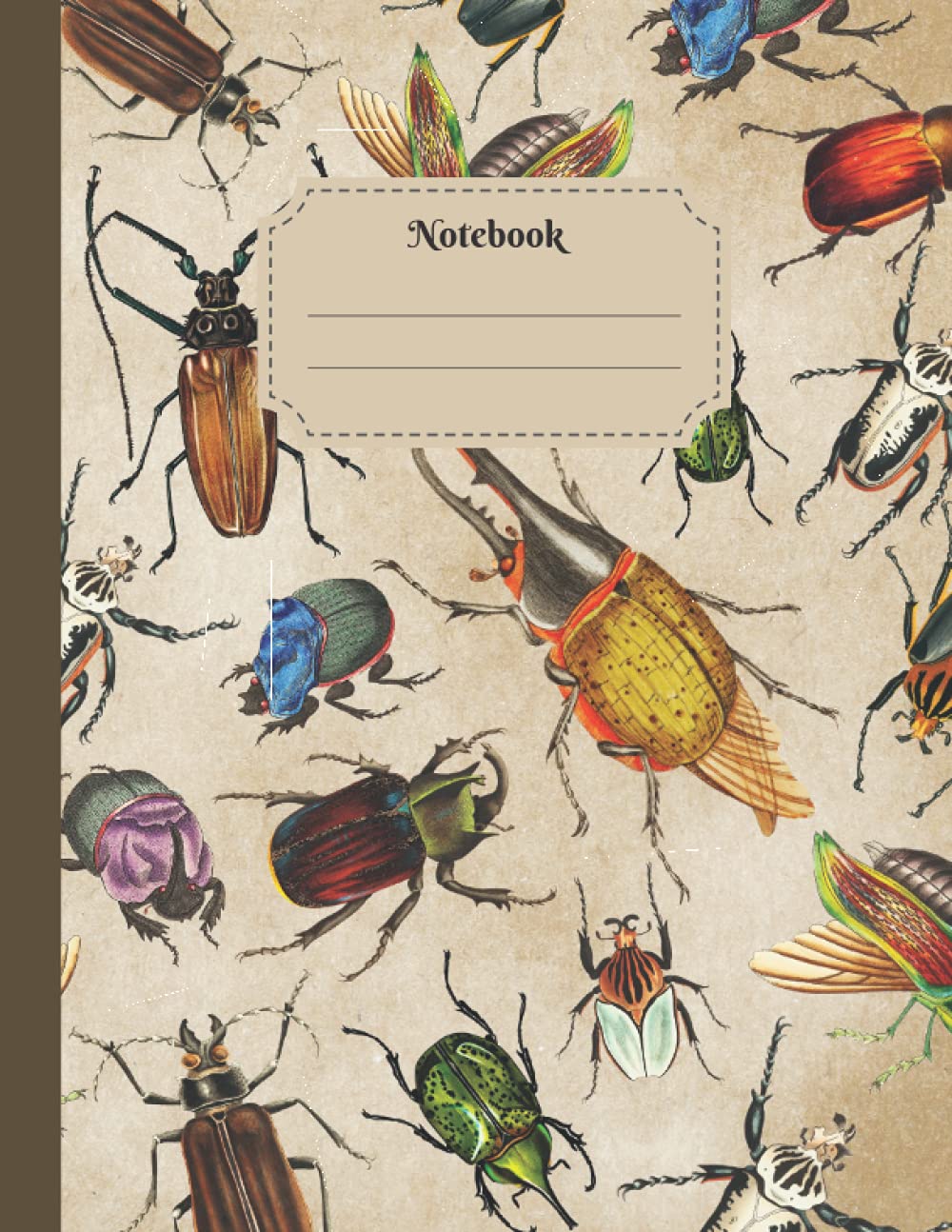 Notebook: College Ruled Vintage Beetle Composition Notebook