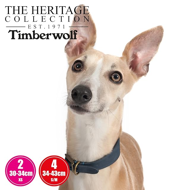 Foto 4 de 5 de Ancol Timberwolf - Collar de Perro de Cuero para Galgo en Mostaza, Cuero de Grano Superior, cómodo…