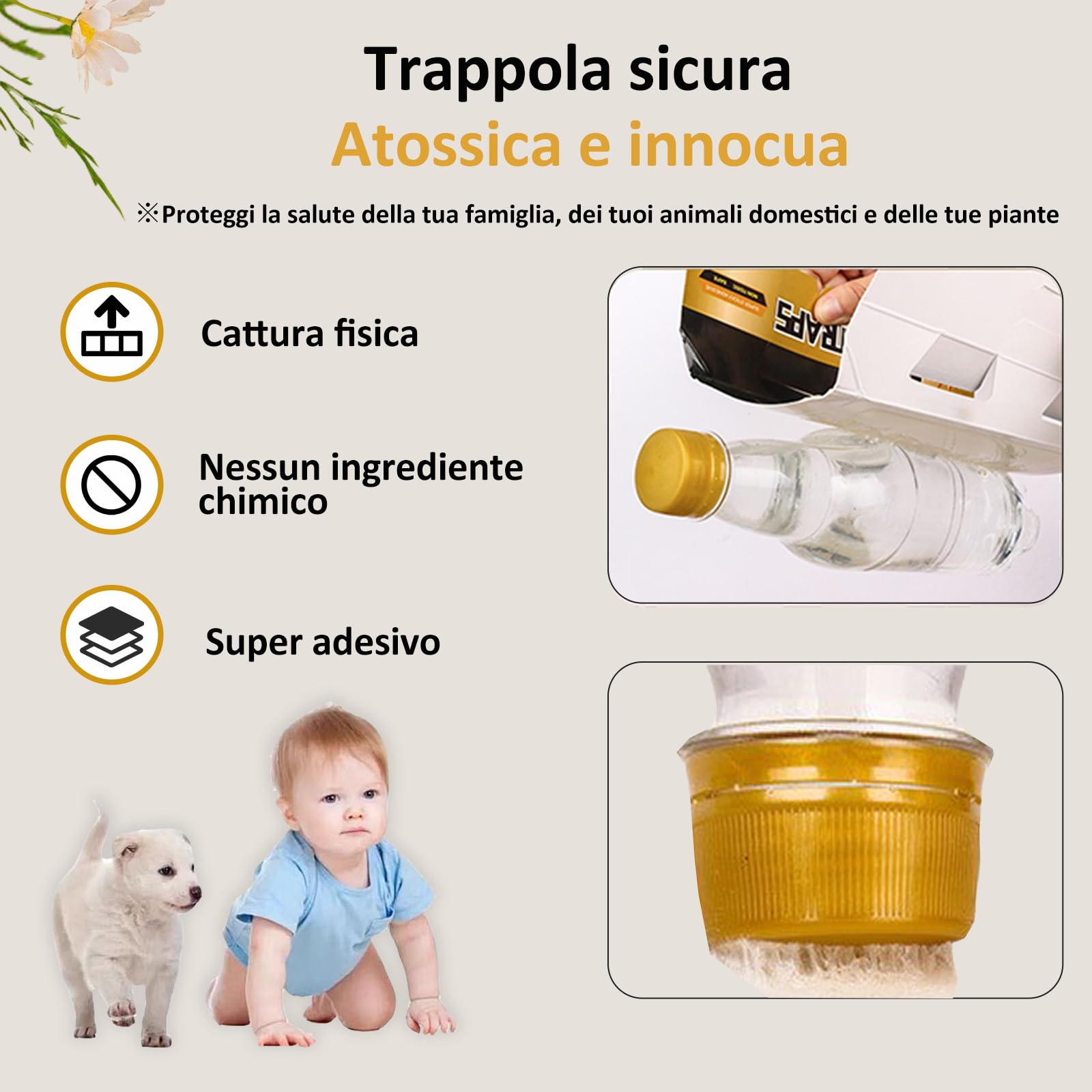 Trappola Scarafaggi, Confezione da 10, Con Colla Forte, Non Tossiche, Uso Domestico e Cucina